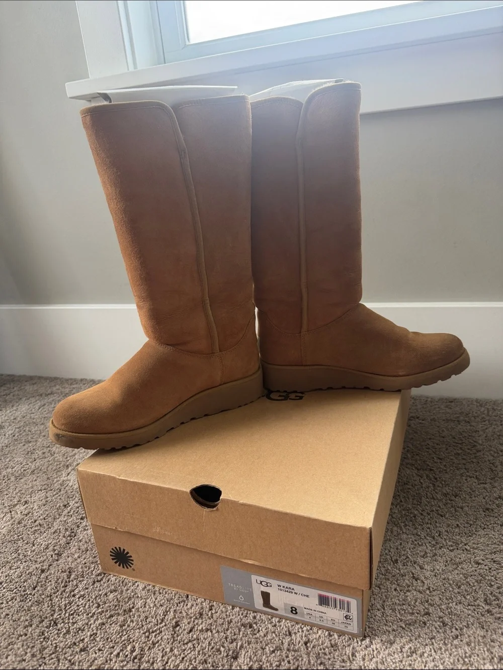 UGG Women's Tall Chestnut Suede Boots